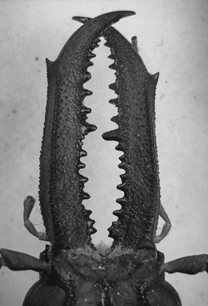 Photograph by Кадиров Азат