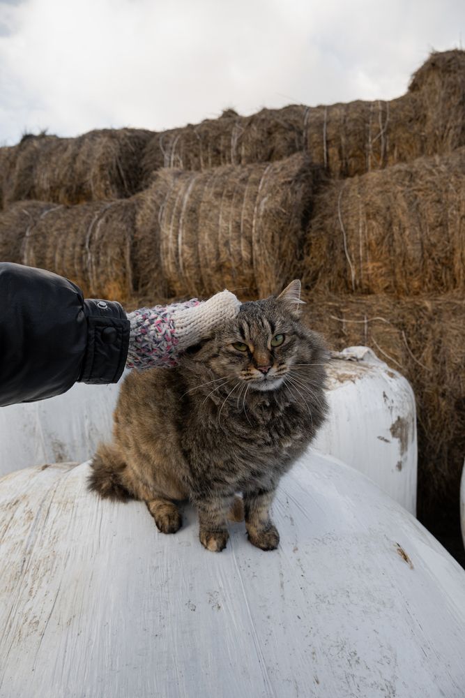 Photograph by Евгений Сидоров