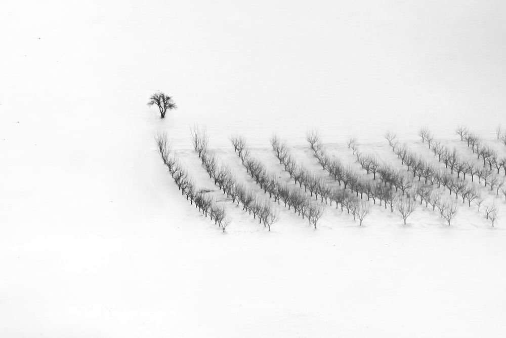Фотография автора namo