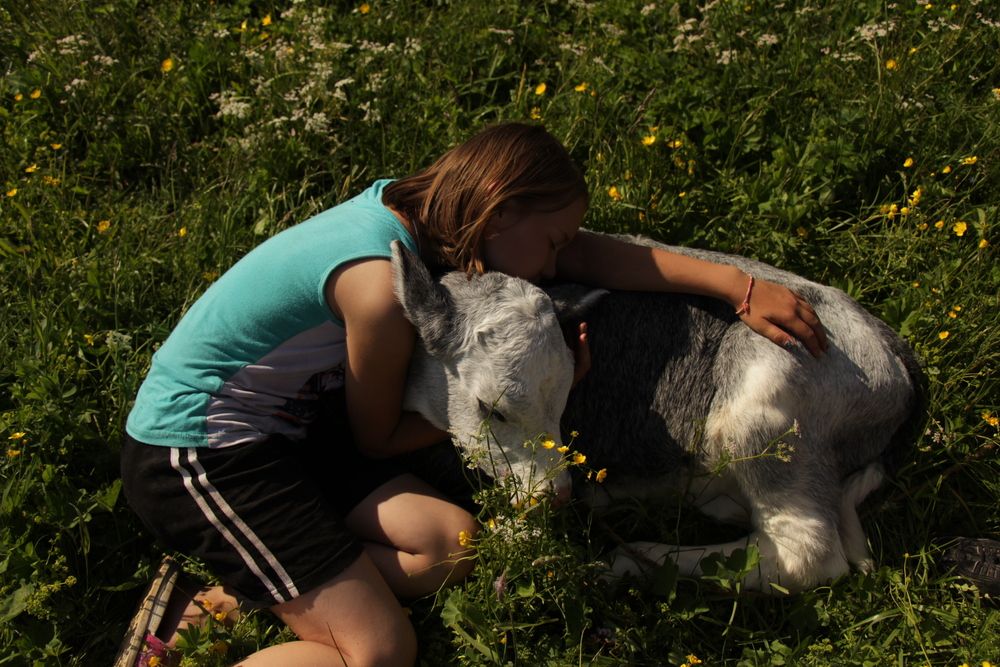 Photograph by Полина Ишкина