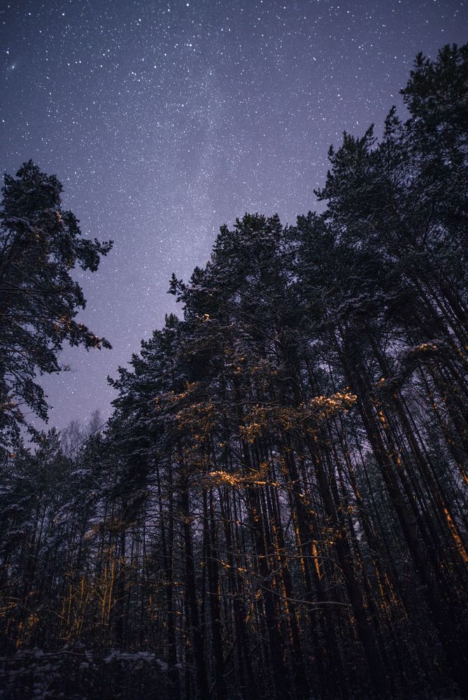 Photograph by Ivan Chestnykh