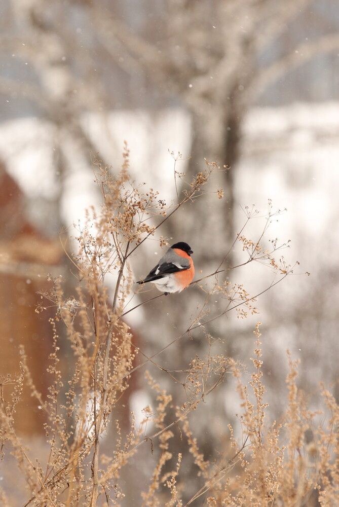Photograph by Полина Ишкина