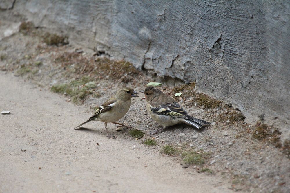Photograph by Полина Ишкина