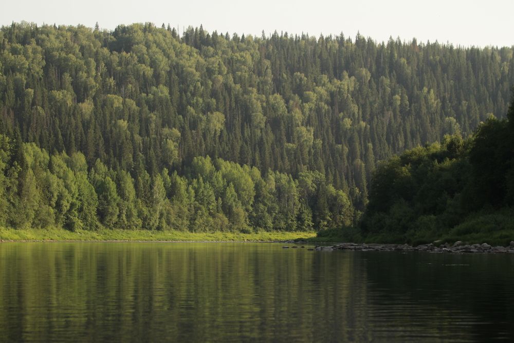 Photograph by Полина Ишкина