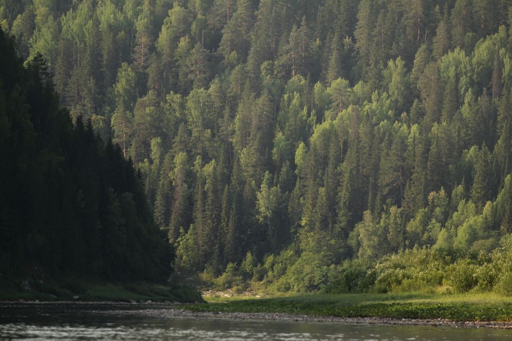 Photograph by Полина Ишкина