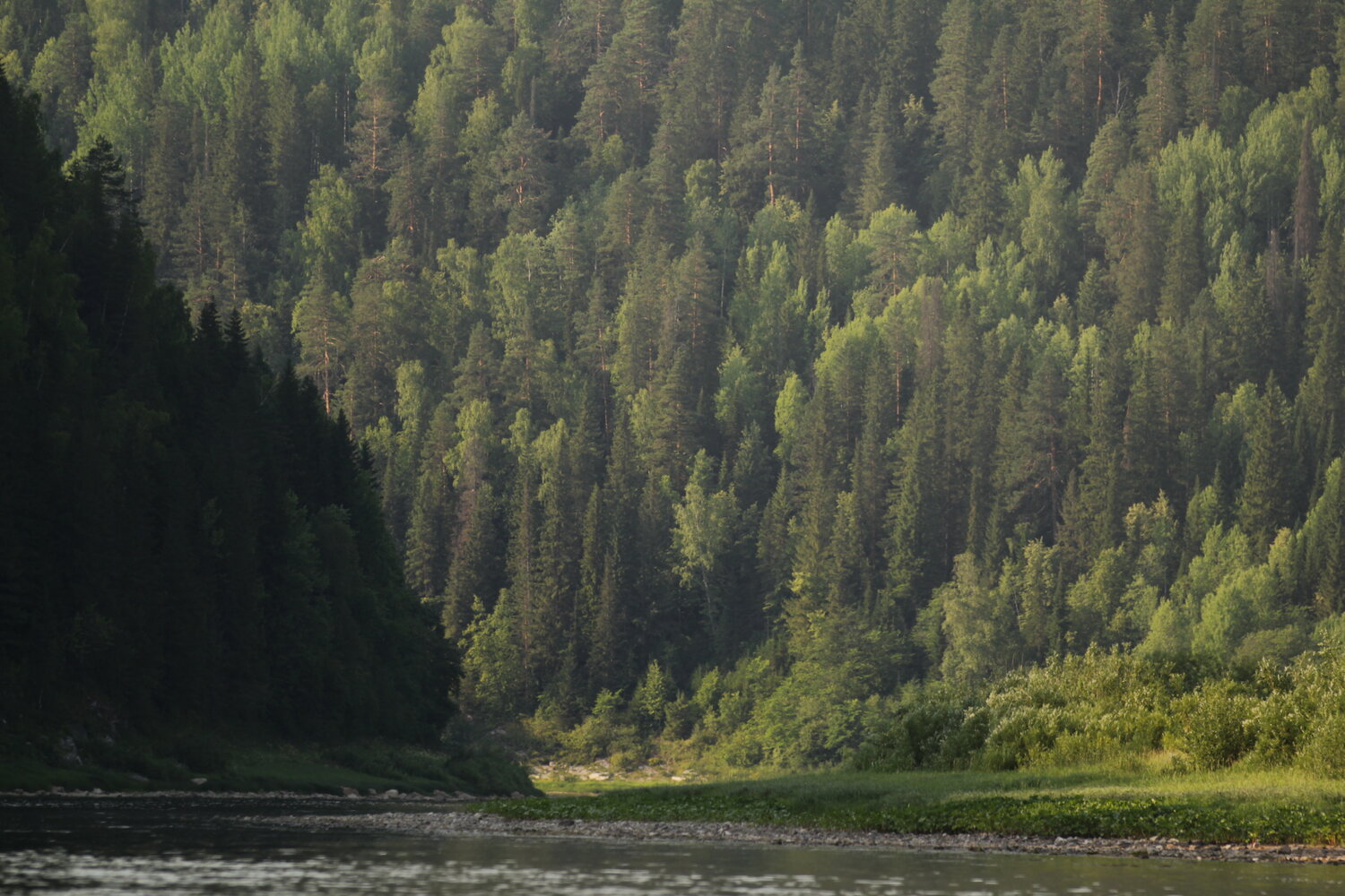 Photo #13223766