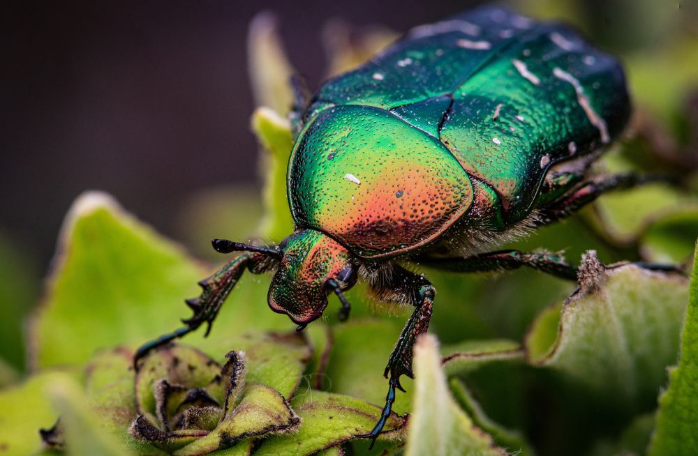 Photograph by Богдан