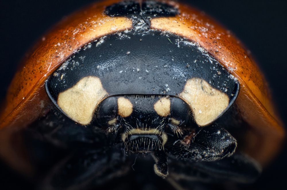 Photograph by  Богдан