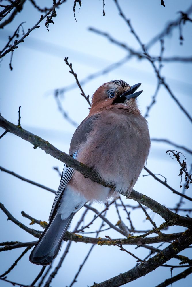 Photograph by Сергей Старых