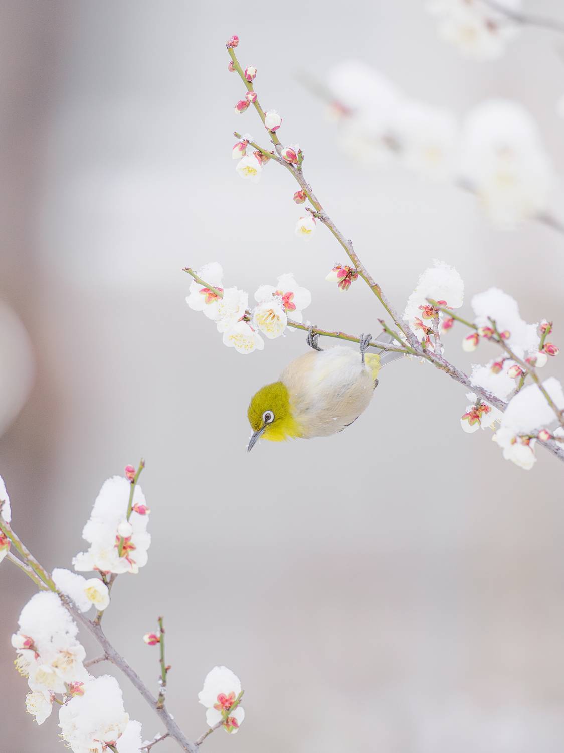 Фотография #13223894