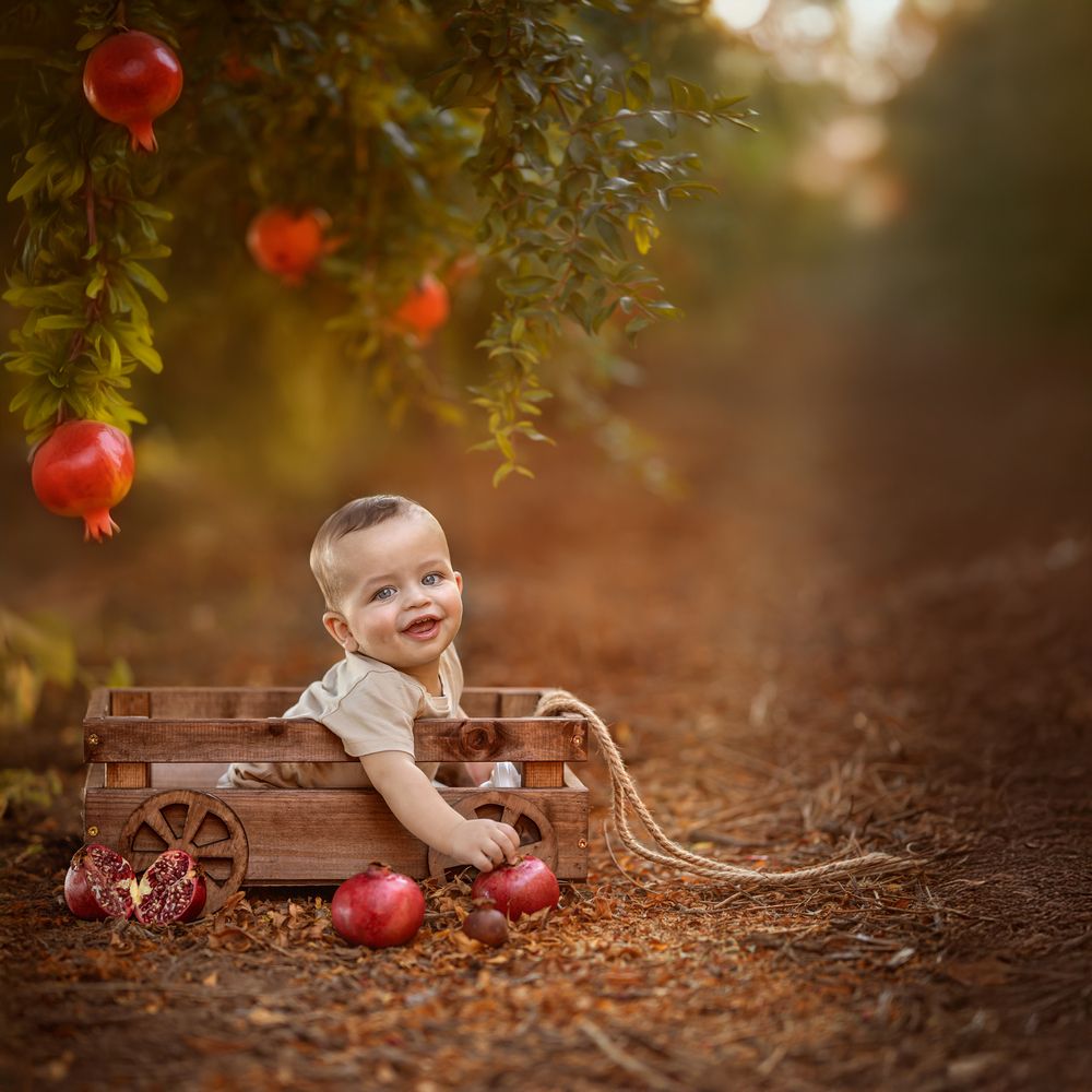 Photograph by Maayan Levi