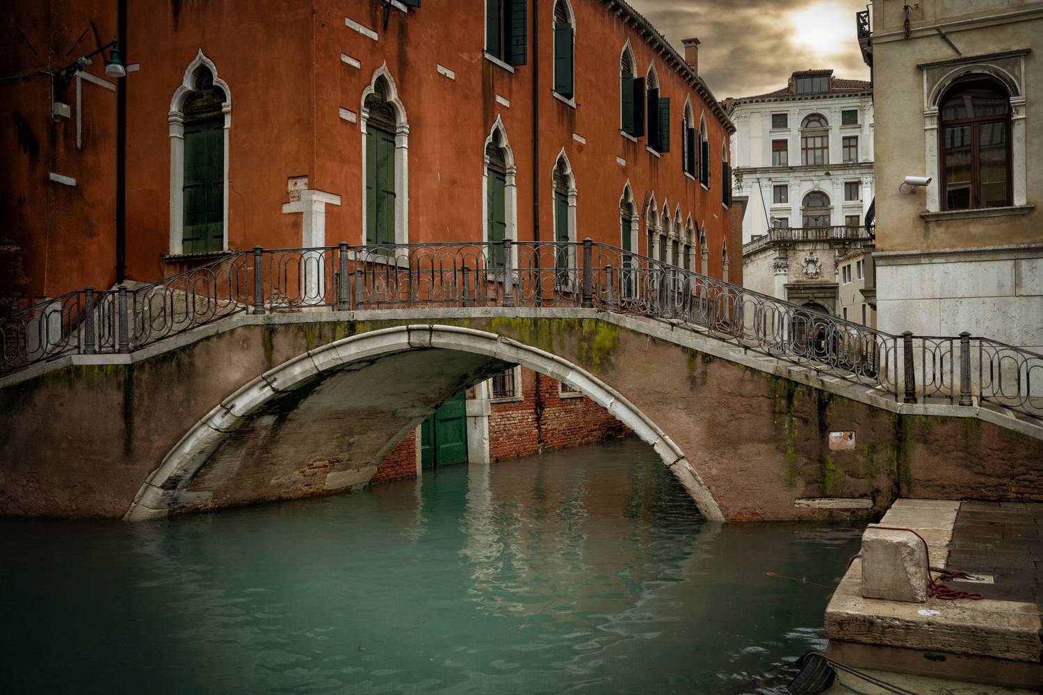 Фотография #13223925