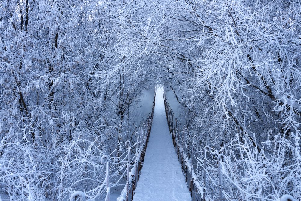 Photograph by Татьяна Бирюкова