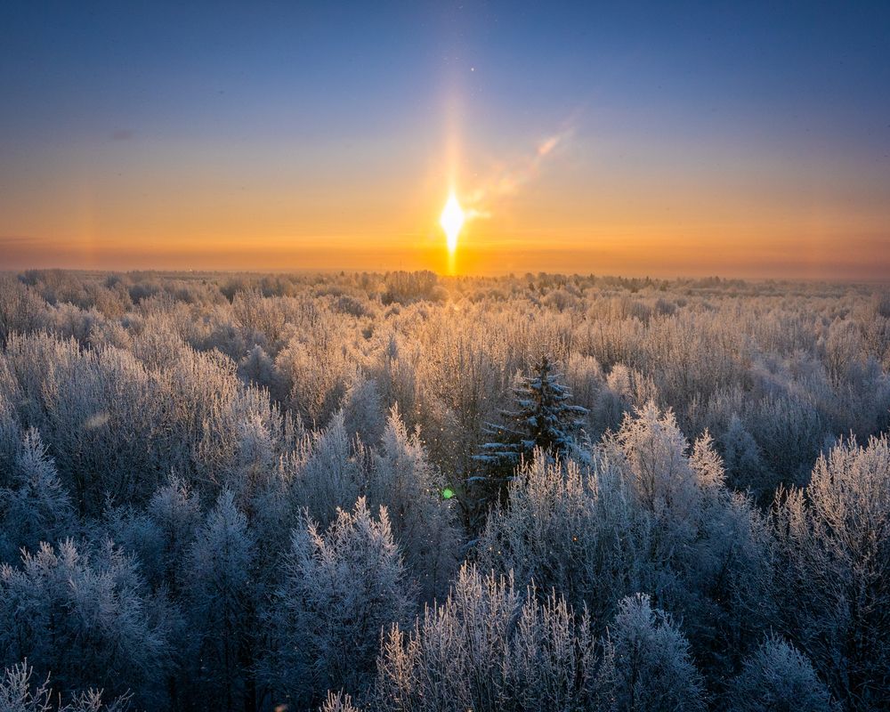 Фотография автора Александр Давидик