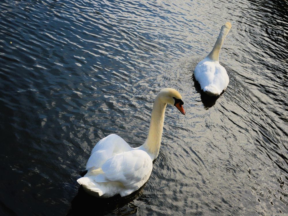 Photograph by Jozef Potocký