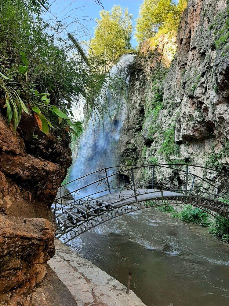 Фотография автора Наталья Гаврилова