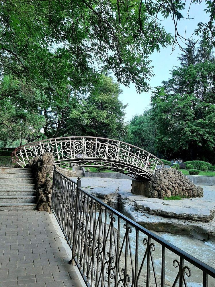 Фотография автора Наталья Гаврилова