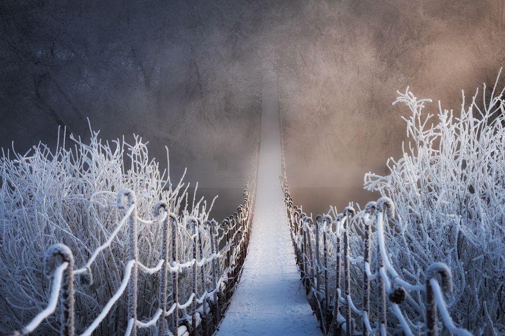 Photograph by Татьяна Бирюкова