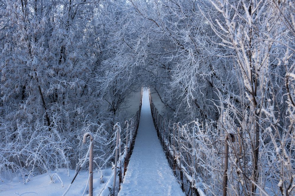 Photograph by Татьяна Бирюкова