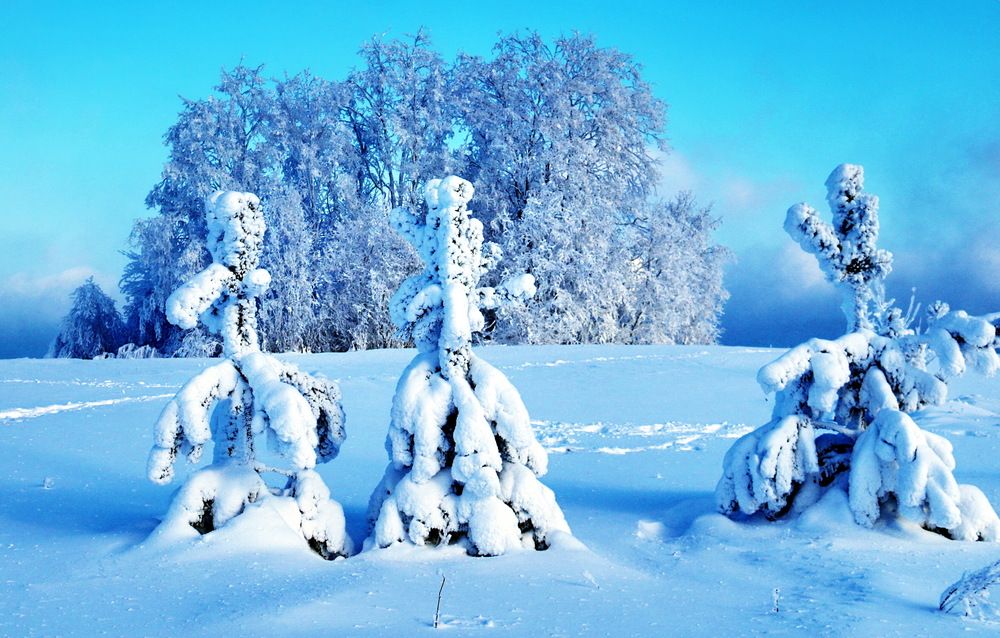 Photograph by Александр Лазебник