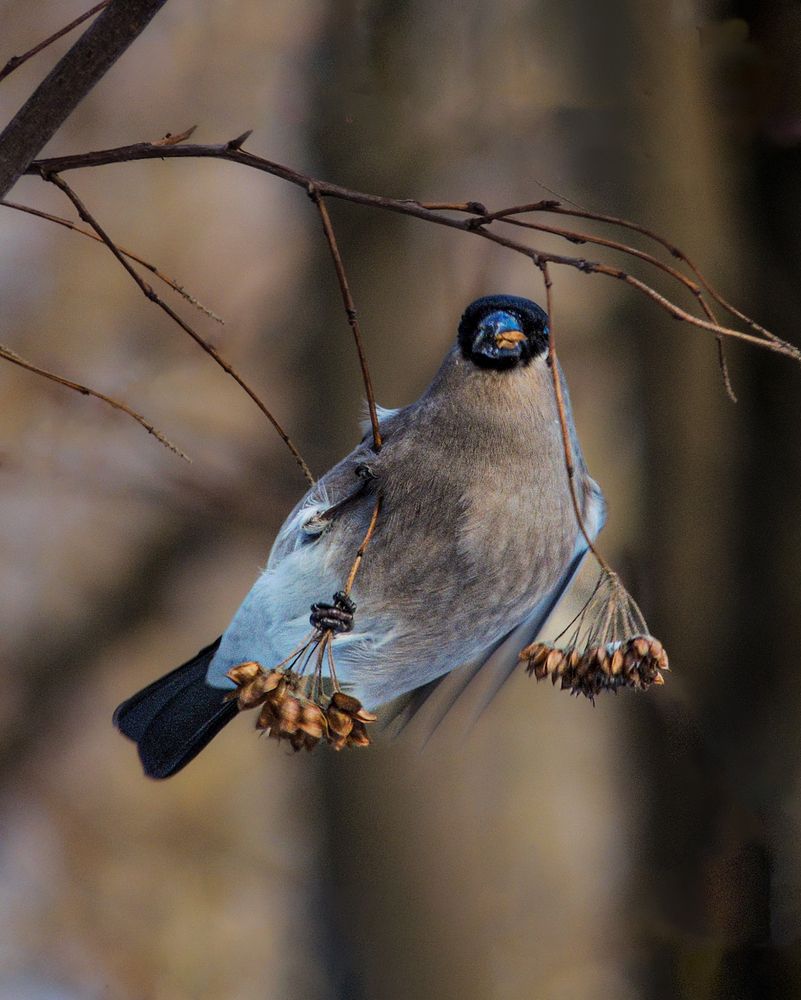 Photograph by Наталья Балабанова