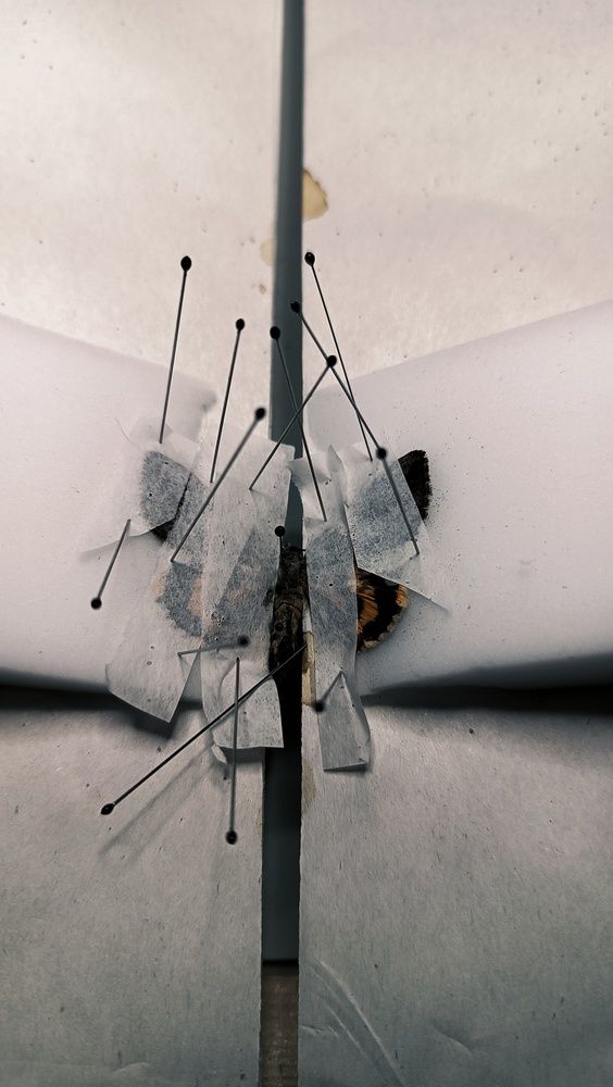Photograph by Омут Жаб