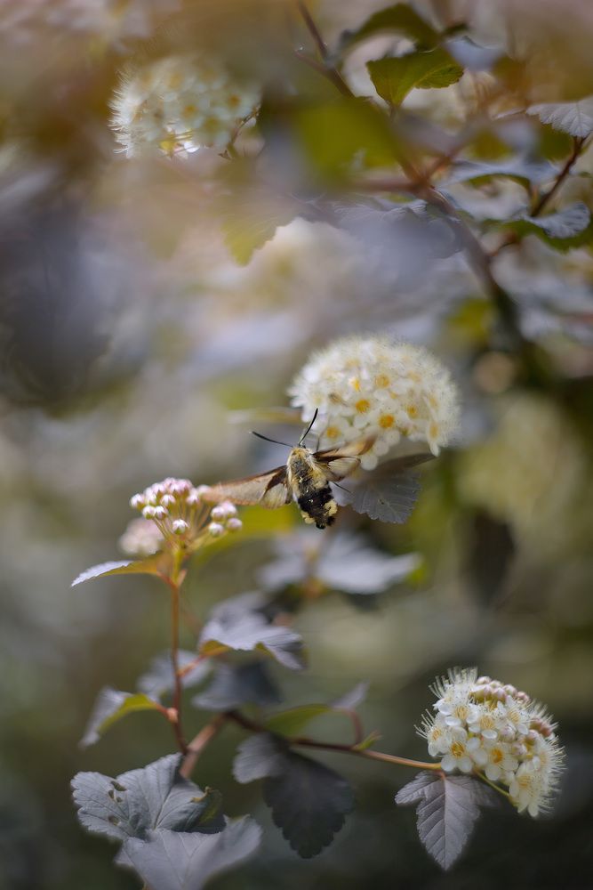 Photograph by Екатерина Мезенова
