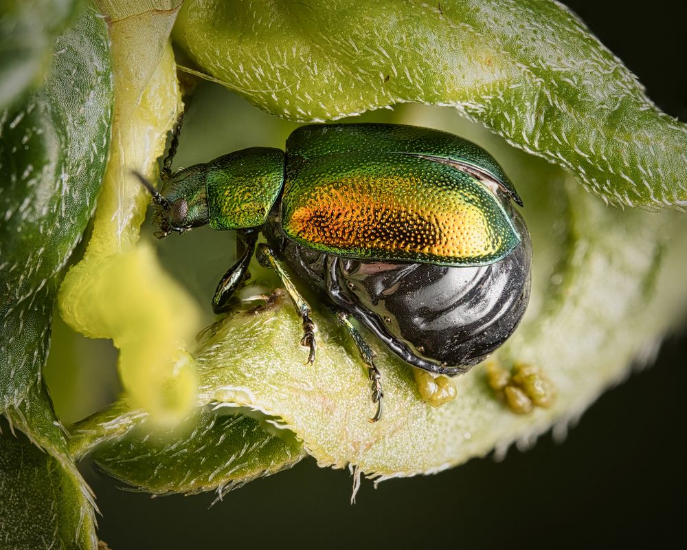 Photograph by Евгения Прокопович