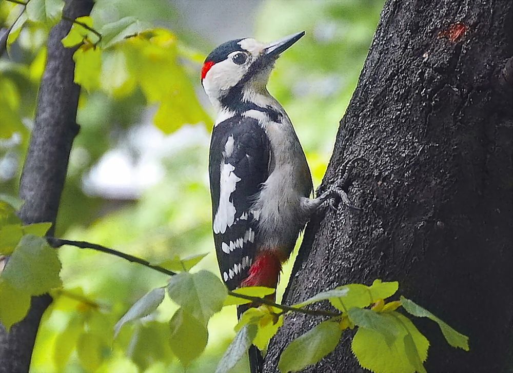 Photograph by ВЛАДИМИР Тертышник