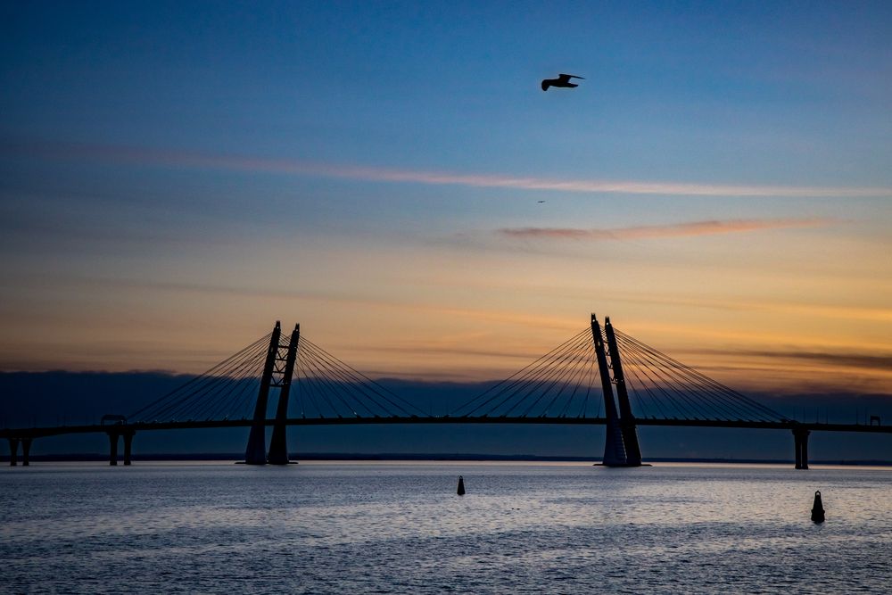 Photograph by Юлия Шурандина