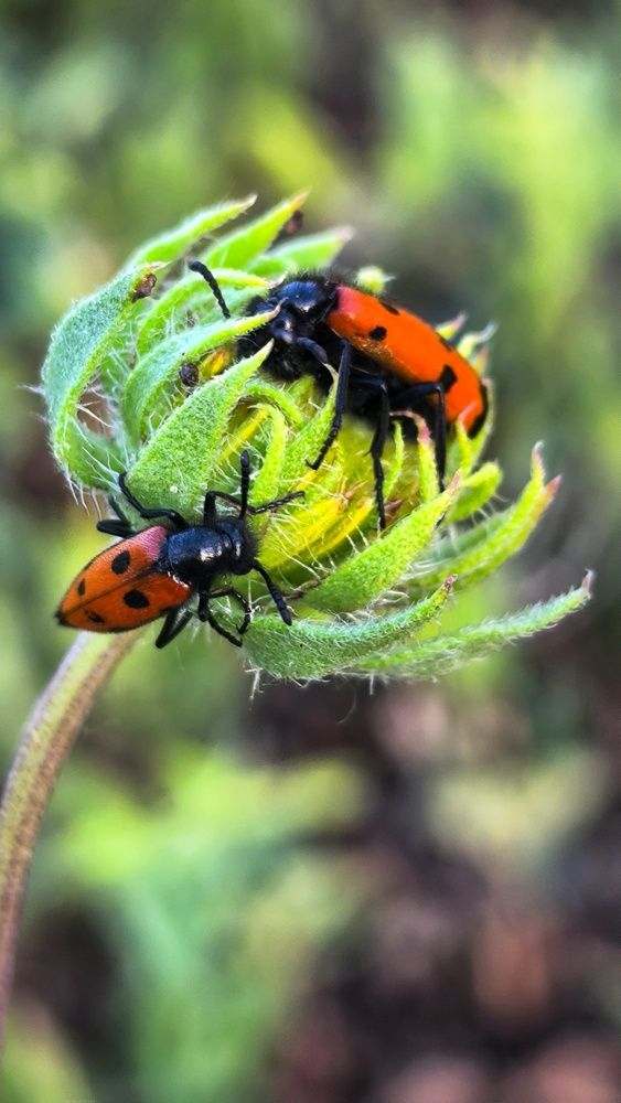 Photograph by Олеся