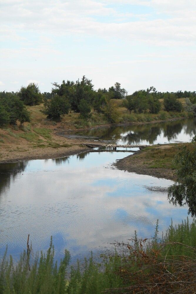 Photograph by Дарья Колесниченко