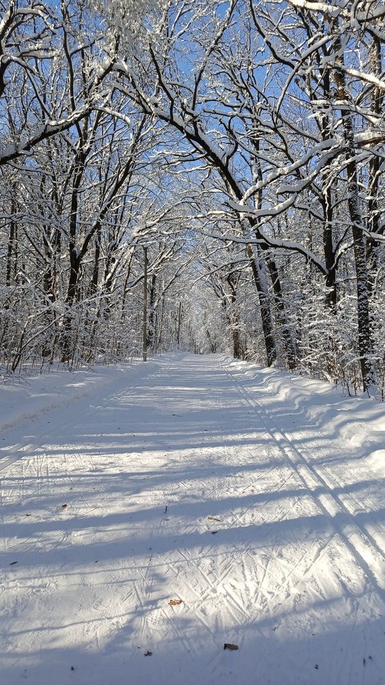Photo #13224325