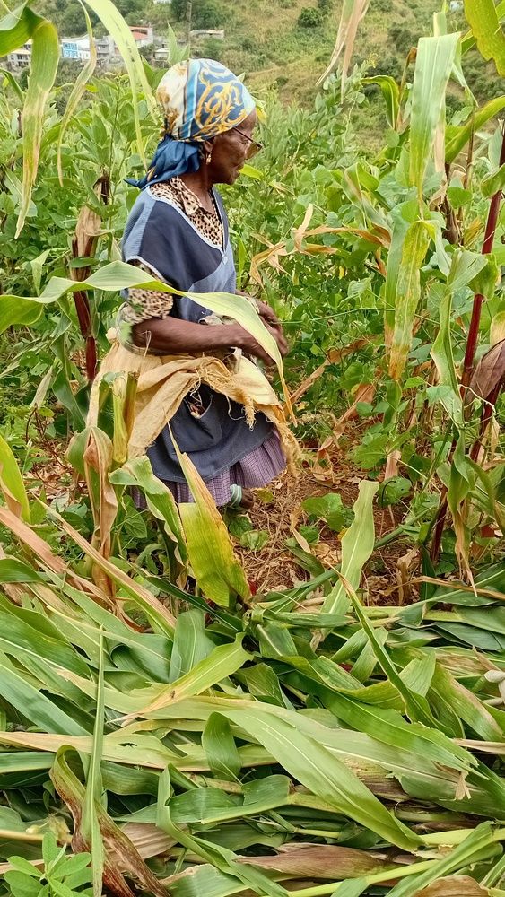 Agricultora