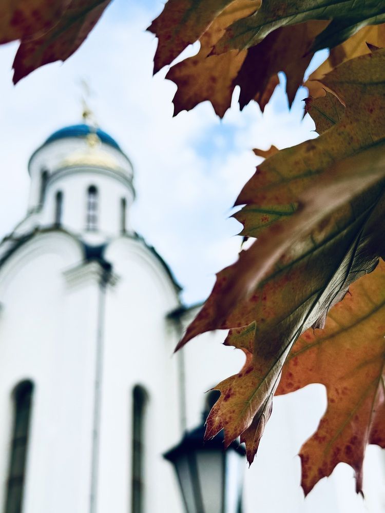 Photograph by Марина Сальникова