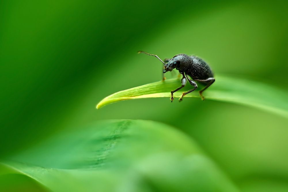 Photograph by Макуха Ольга