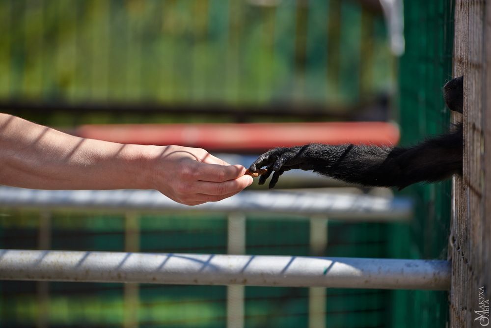 Photograph by Макуха Ольга