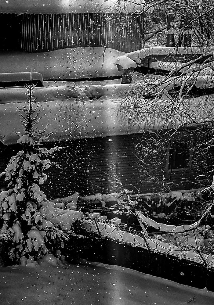 Photograph by Марина Соловьева