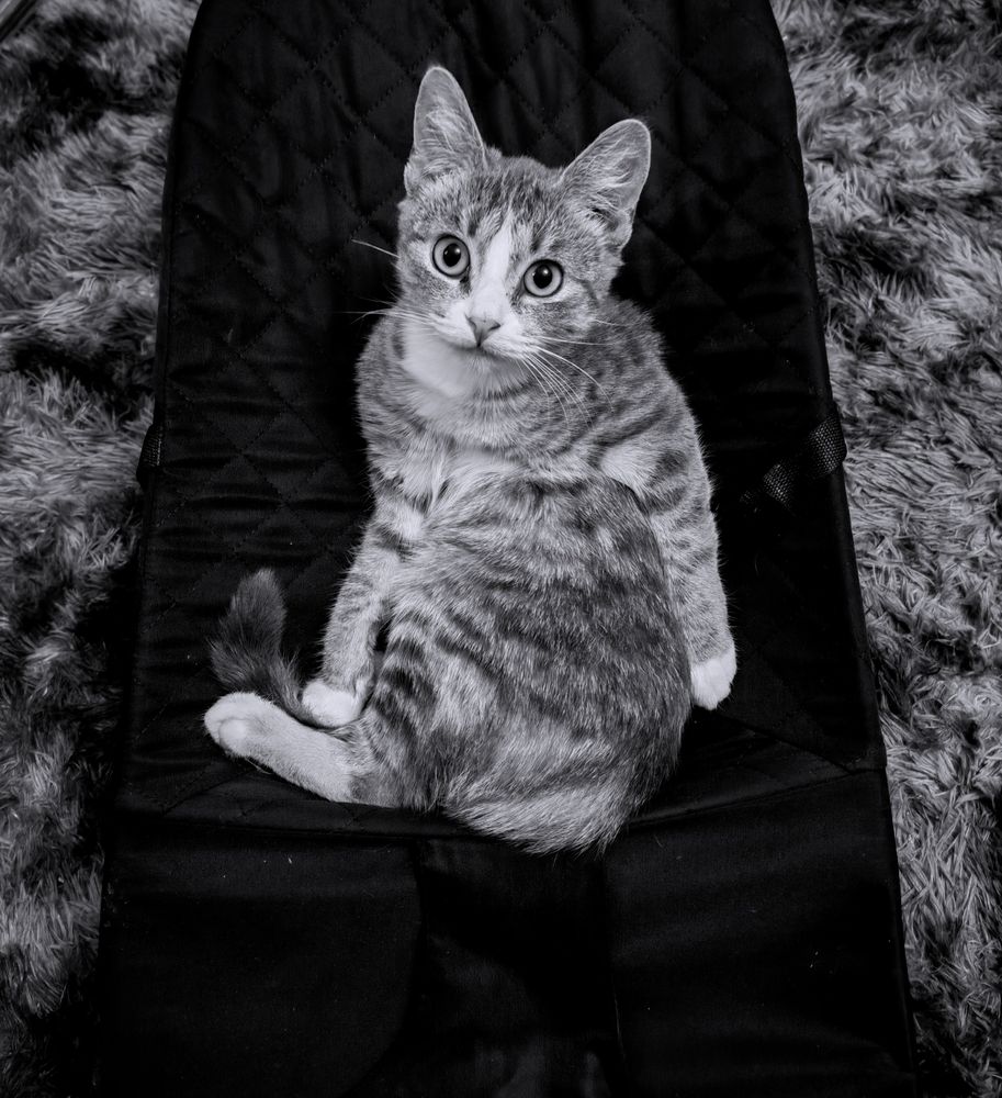Photograph by Евгения Лещева