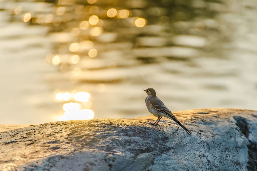 Photograph by Макуха Ольга