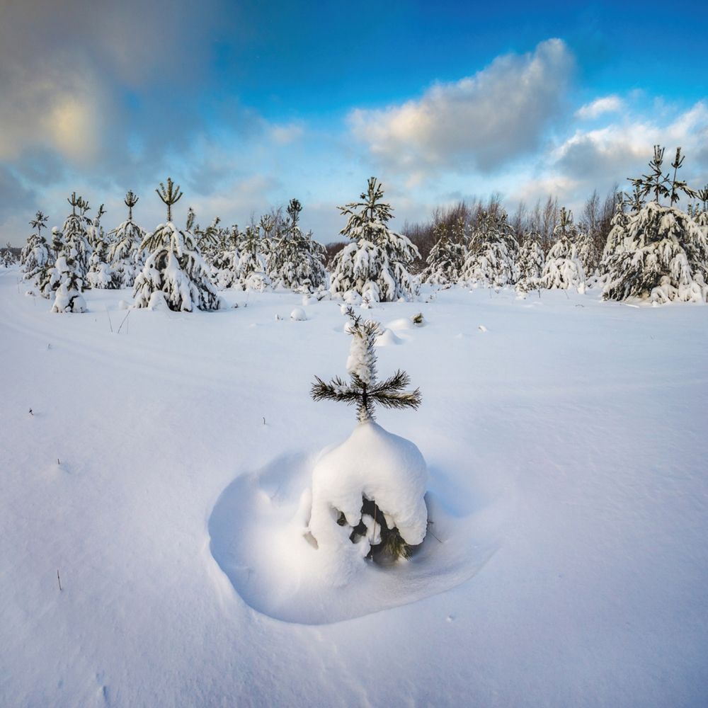 Фотография автора Панагушин Сергей