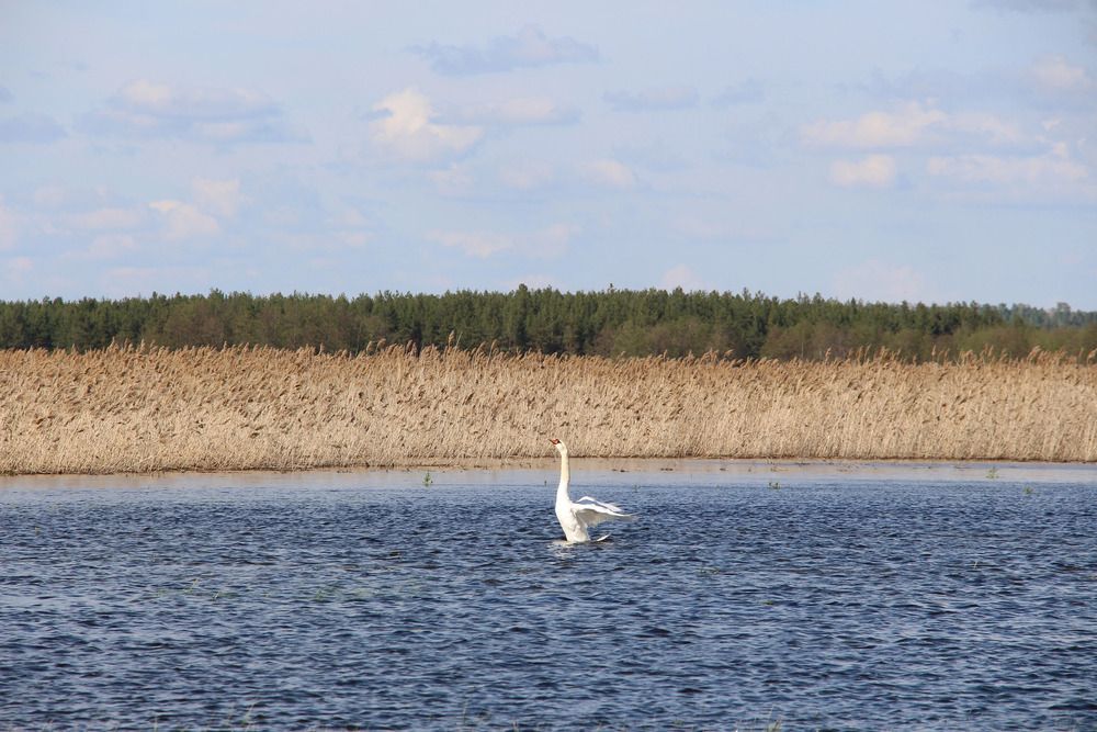 Photograph by Ольга Попченко