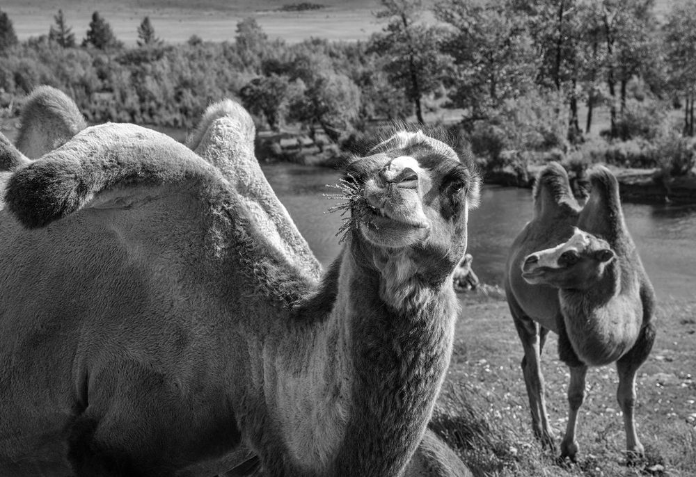 Photograph by Дмитрий Юдин
