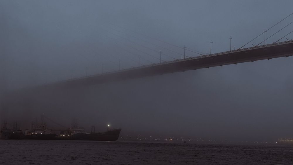 Фотография автора Юлия Усольцева
