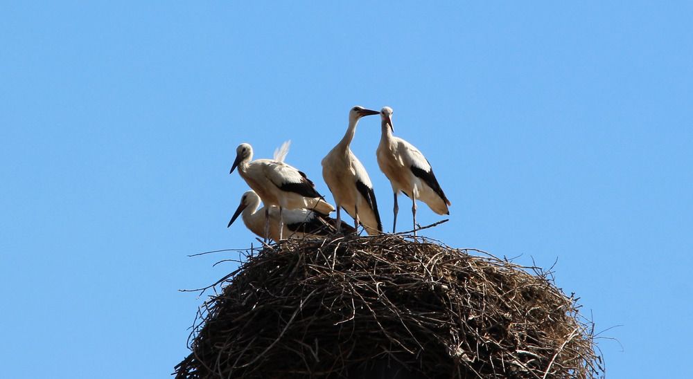 Photograph by Ольга Попченко