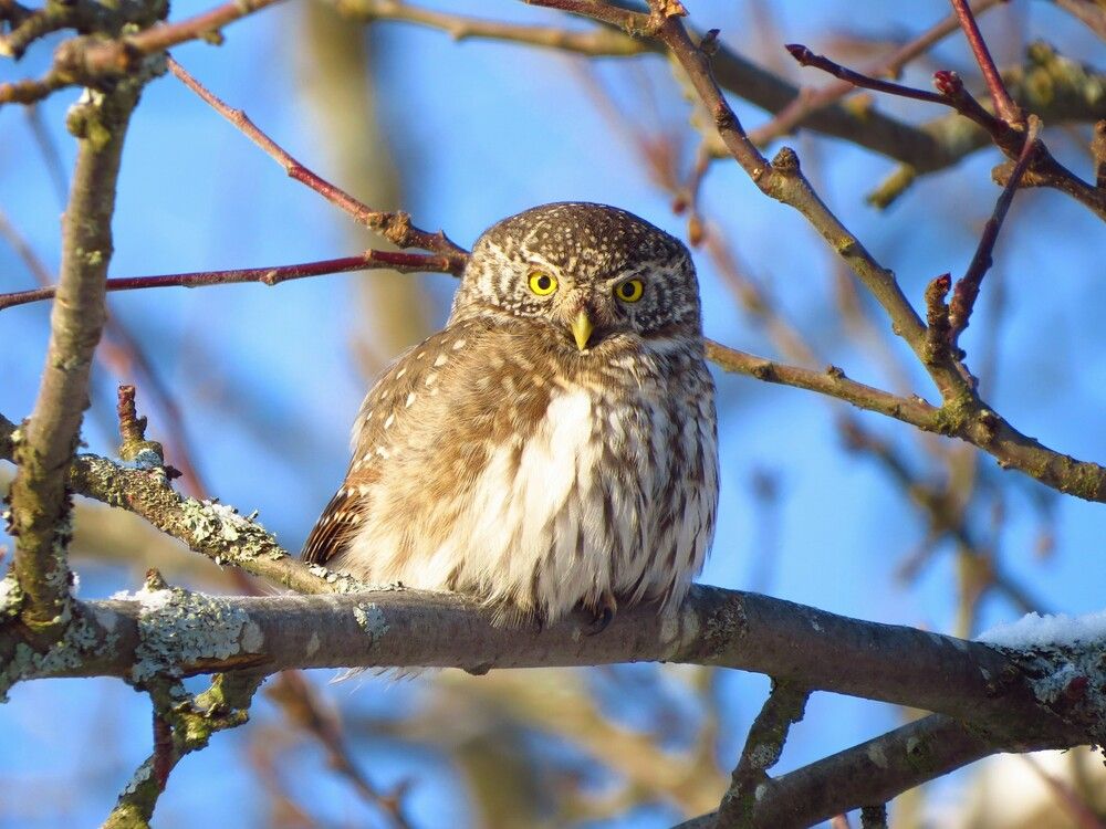 Photograph by Анна Азарёнок