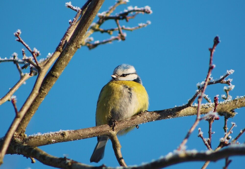 Photograph by Анна Азарёнок