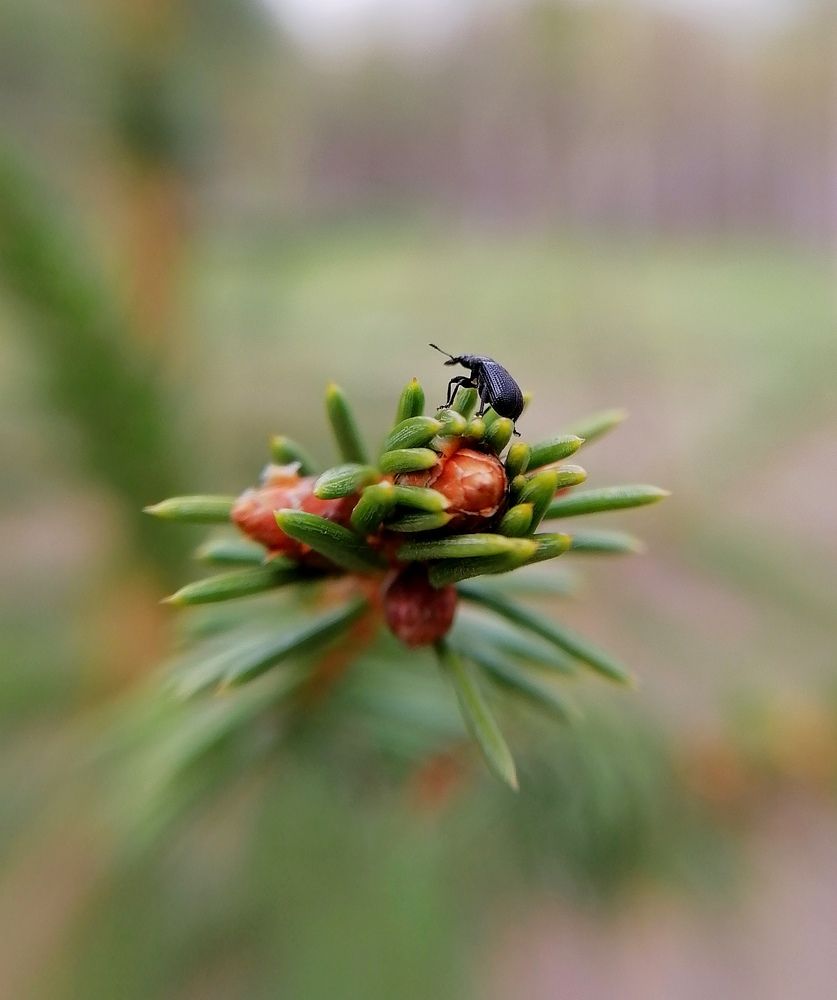 Photograph by Елена Казакова