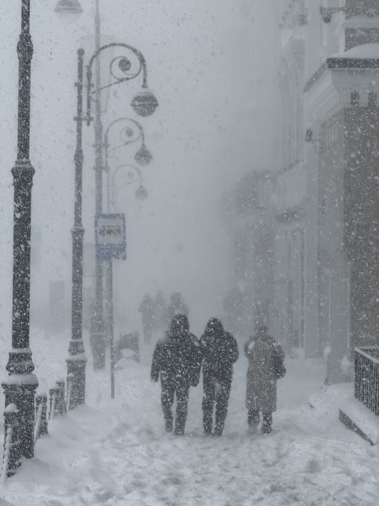 Фотография автора Юлия Усольцева