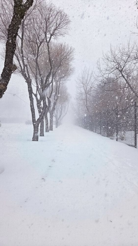 Фотография автора Юлия Усольцева